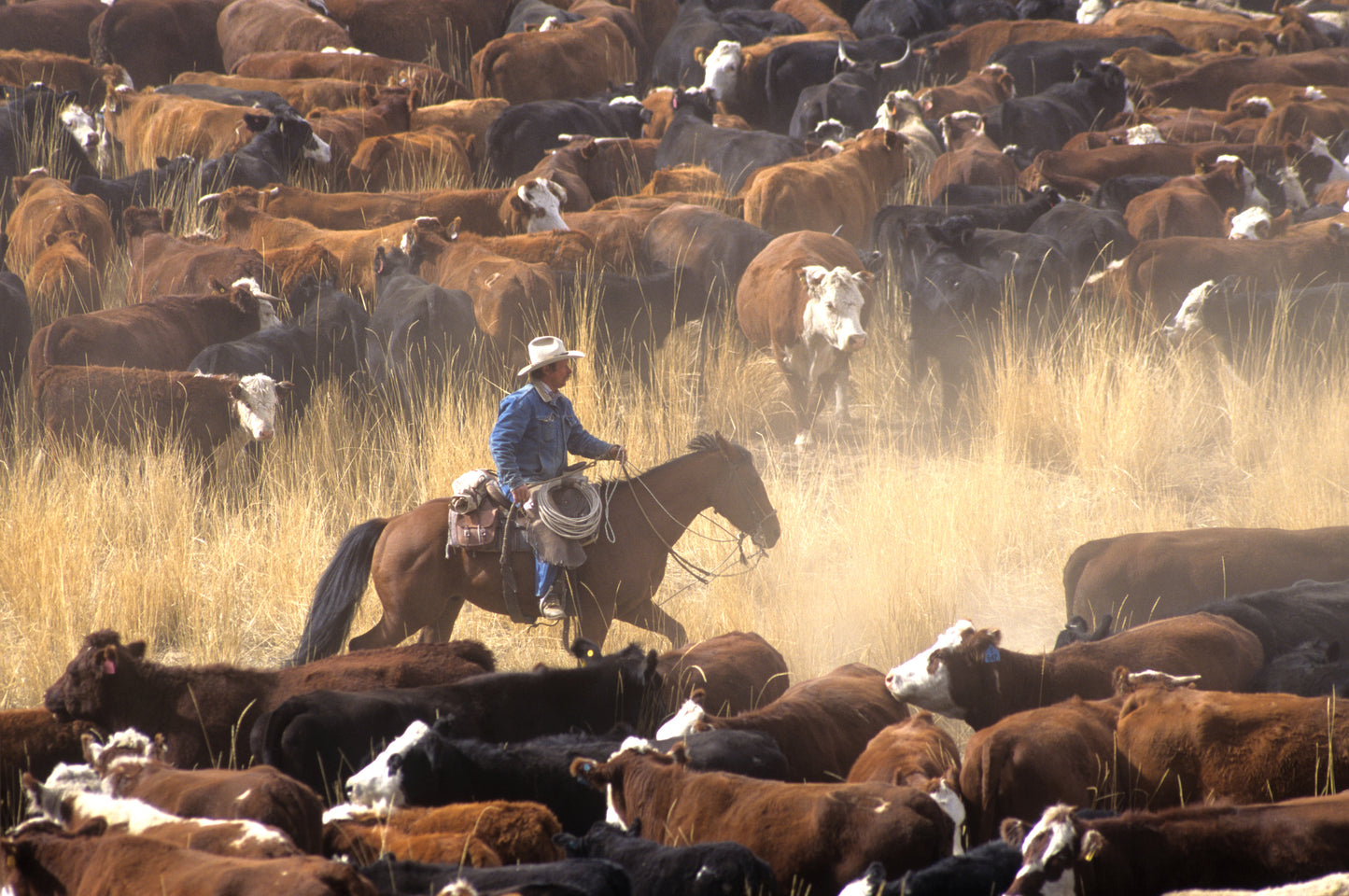 Cattleman's Blend